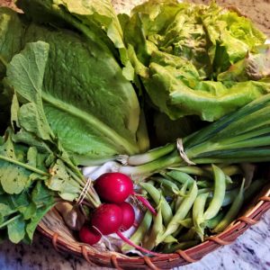 Spring veggie basket